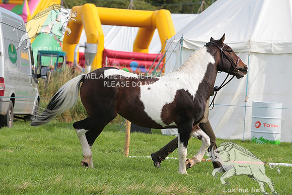MHH_4866