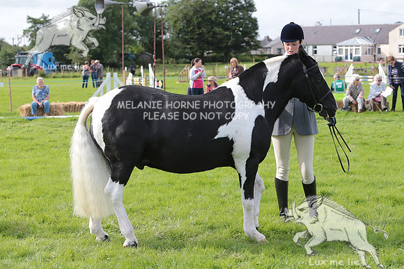 MHH_4880