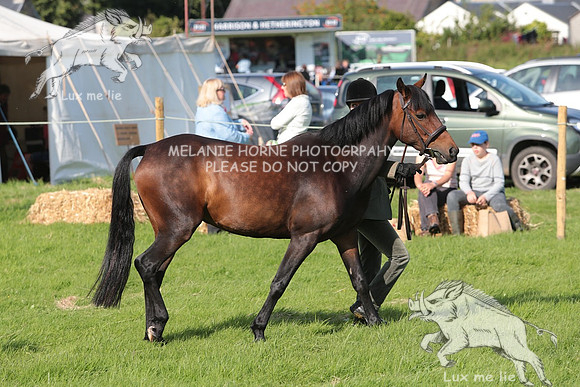 MHH_4689