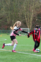 MHHM3441