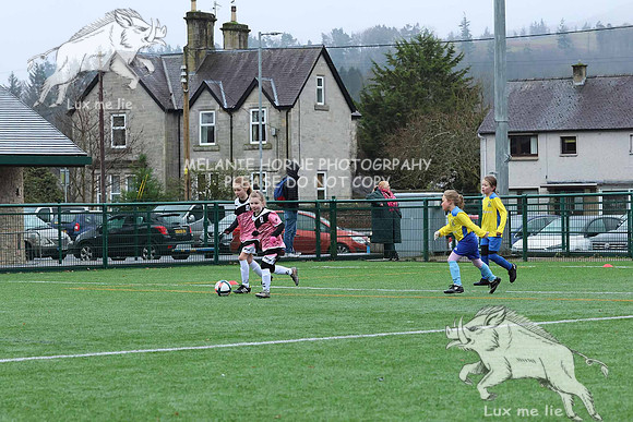 MHHM4217