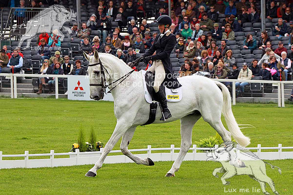 MHH_1723 LOUISA MILNE HOME  KING EIDER