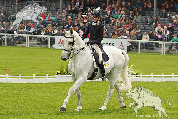 MHH_1779 LOUISA MILNE HOME  KING EIDER