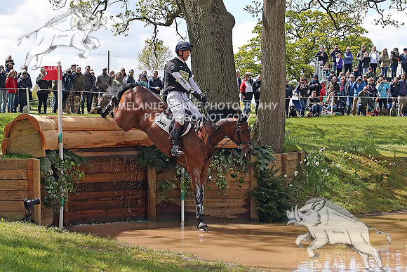 MHH_1733 William Fox Pitt  Little Fire