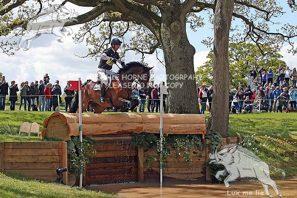 MHH_1729 William Fox Pitt. Little Fire