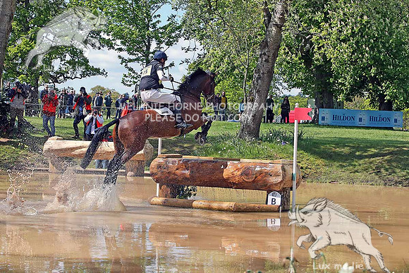 MHH_1748 William Fox Pitt  Little Fire