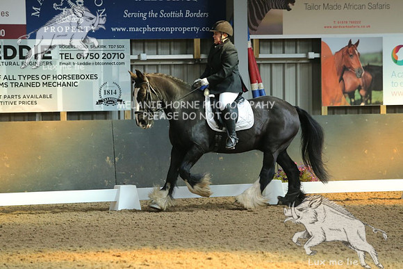 MHH_0948