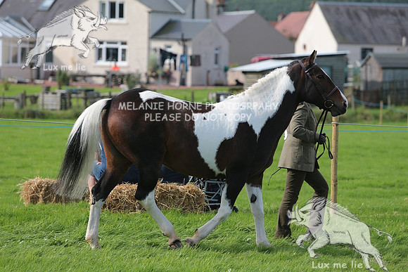 MHH_4802