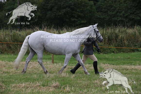 MHH_1449