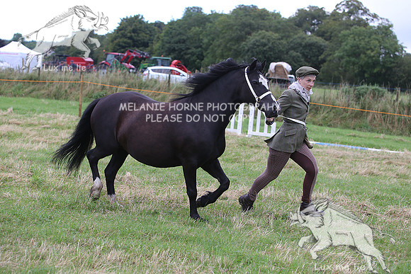 MHH_1421