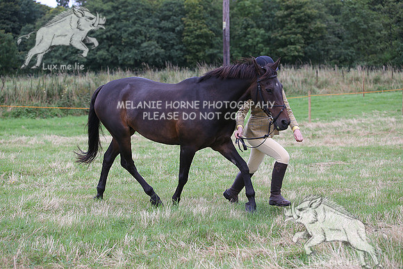MHH_1508