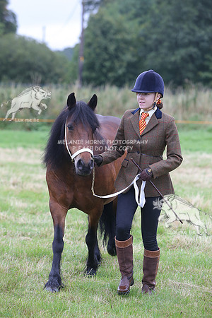 MHH_1389