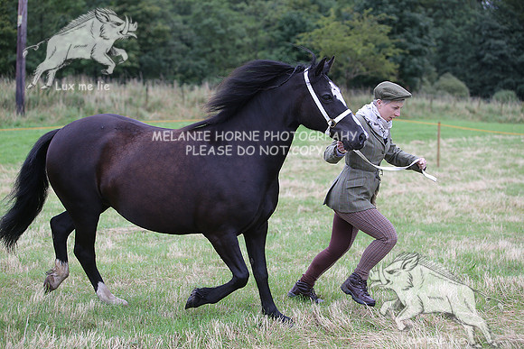 MHH_1430