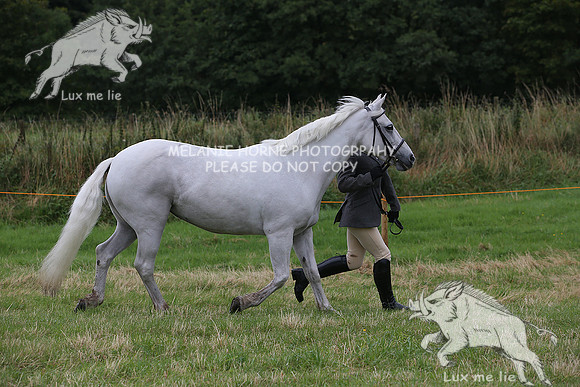 MHH_1450