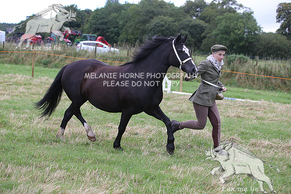 MHH_1422