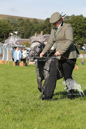 MHH_4504
