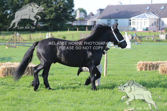 MHH_4128