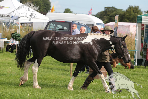 MHH_4809