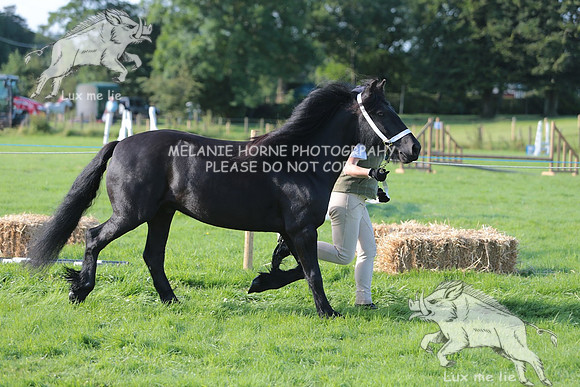 MHH_4125