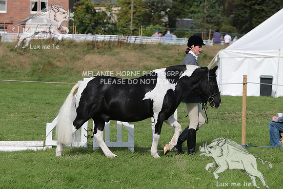 MHH_4794
