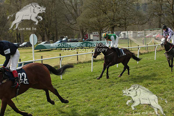 MHH_0734