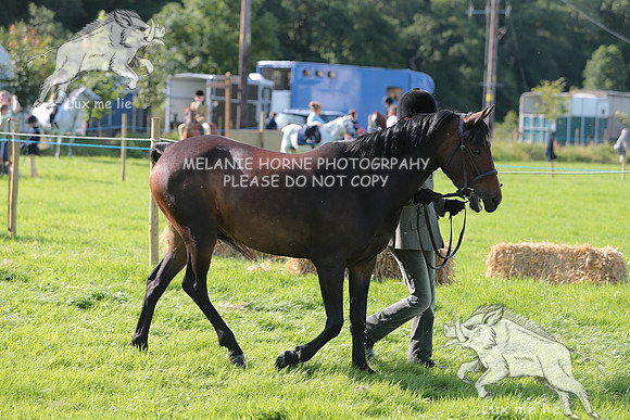 MHH_4675