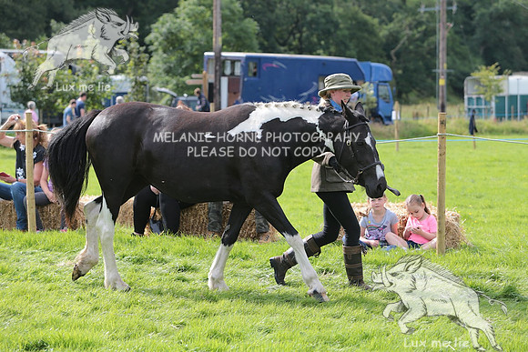 MHH_4970