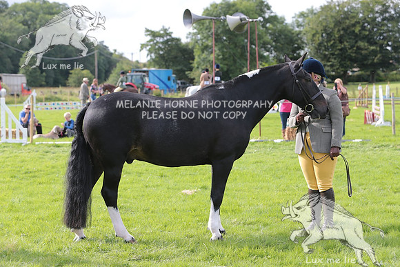 MHH_4902