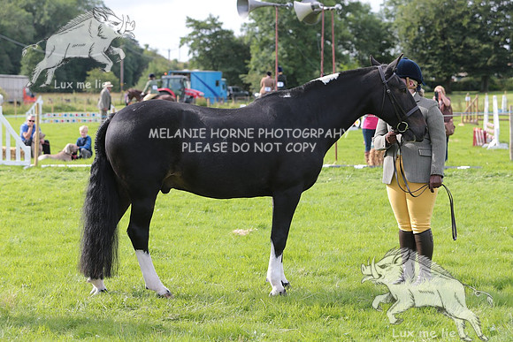 MHH_4904