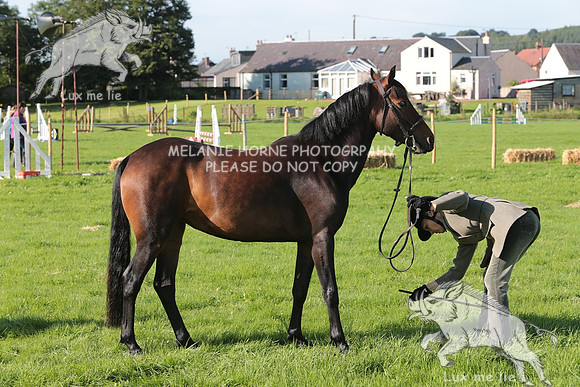 MHH_4187