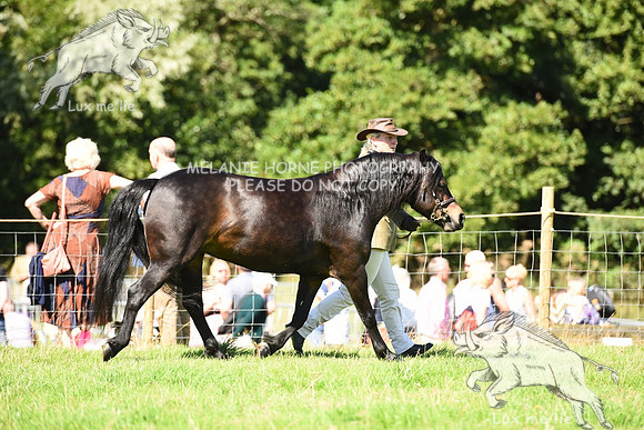 SPP_7013