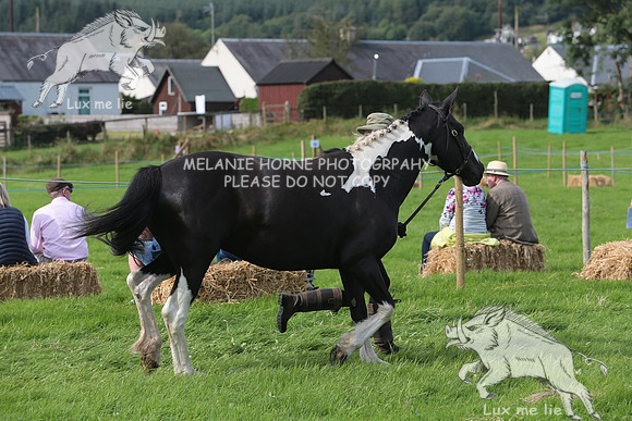 MHH_4865