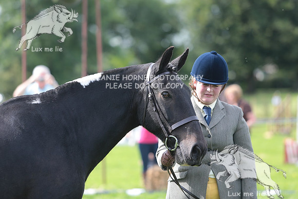 MHH_4906