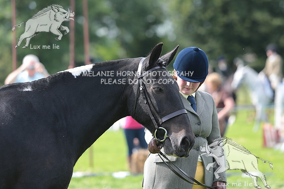 MHH_4907