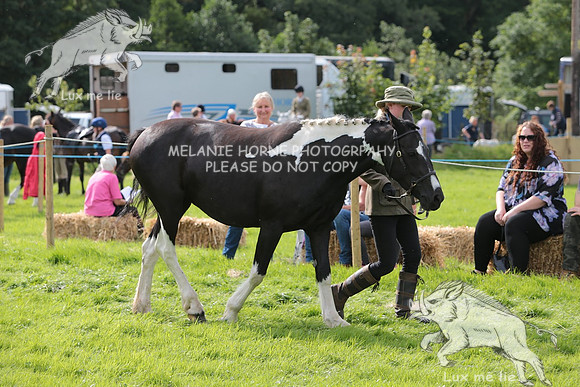 MHH_4969