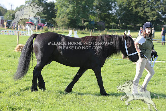 MHH_4236